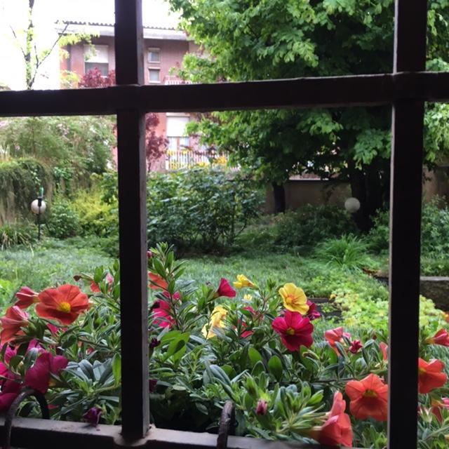 Cosy Studio Historical Center Cremona Exterior foto